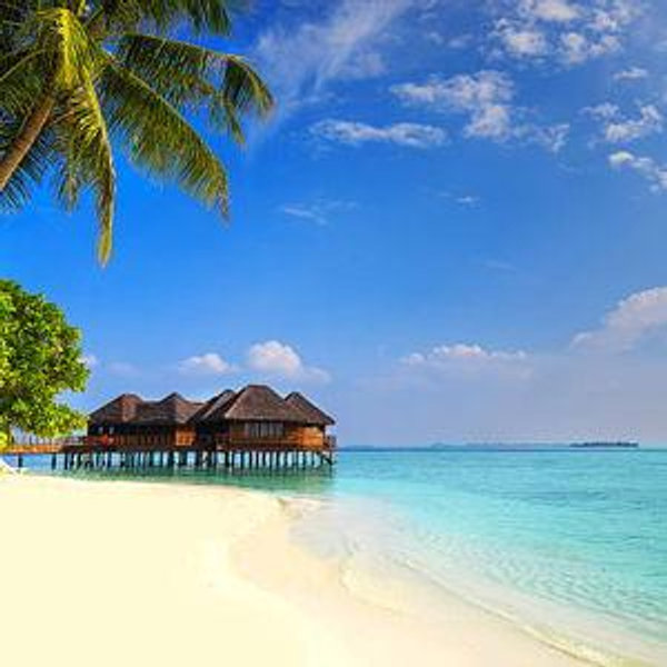 Honeymoon Fund