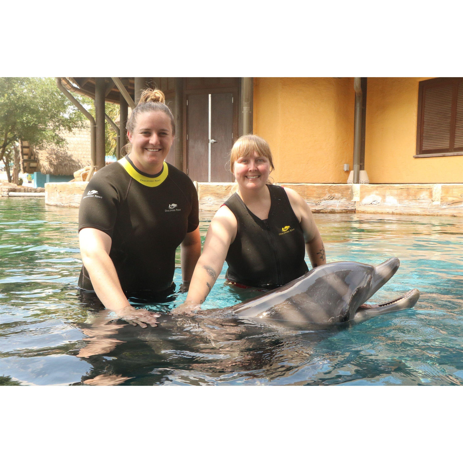 Dolphin experience at Seaworld Texas