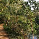 The Chessie Trail