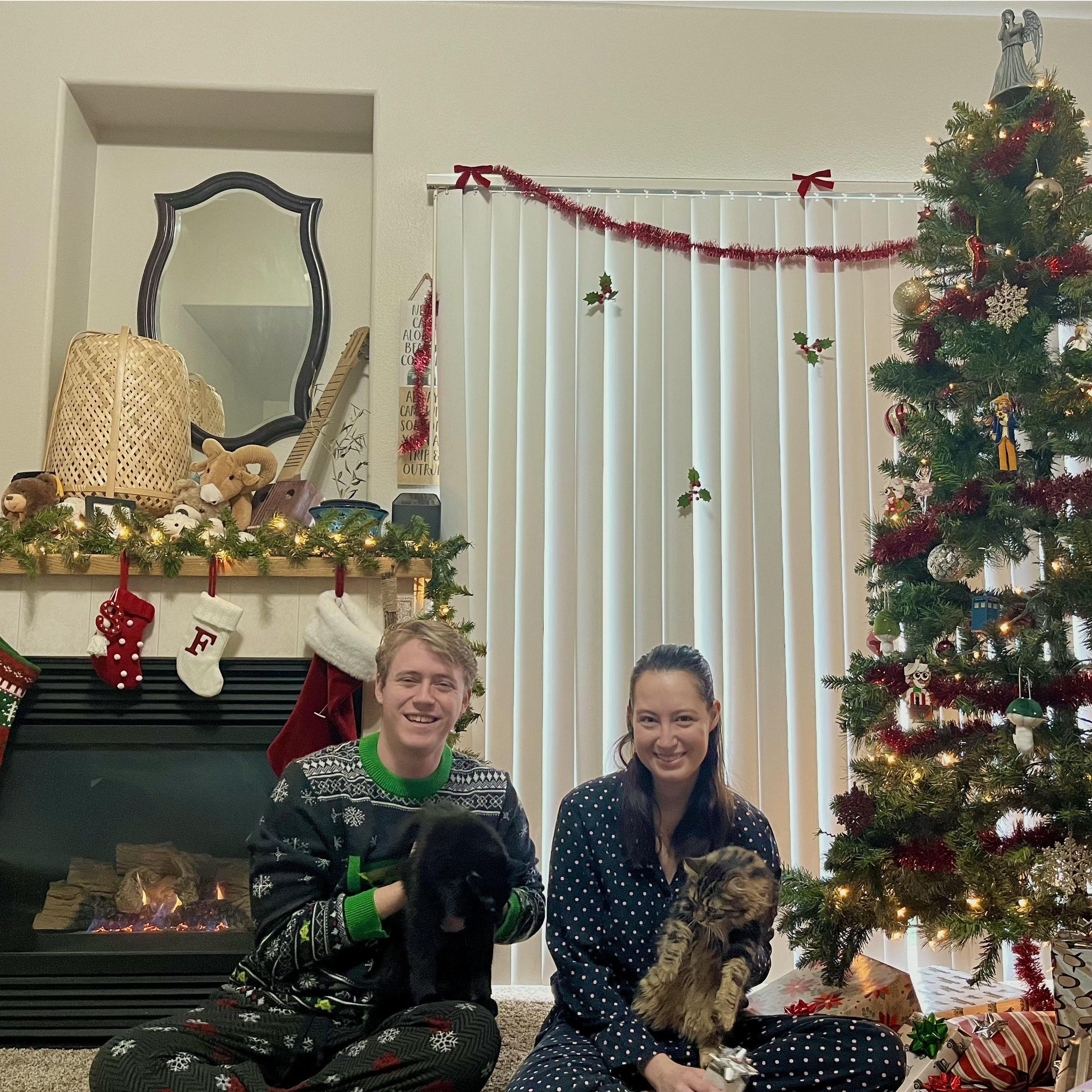 Christmas with the kitties