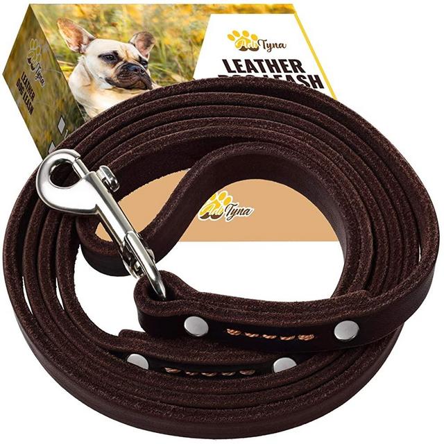 ADITYNA Leather Dog Leash 6 Foot - Soft and Strong Leather Leash for Small and Medium Dog