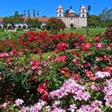 Rose Garden and Mission