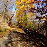 Lackawanna River Heritage Trail
