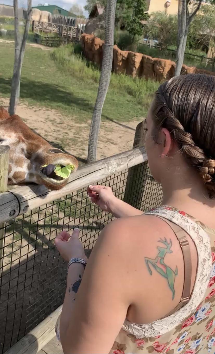 Those giraffes I mentioned!