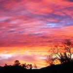 Ojai's 'Pink Moment'