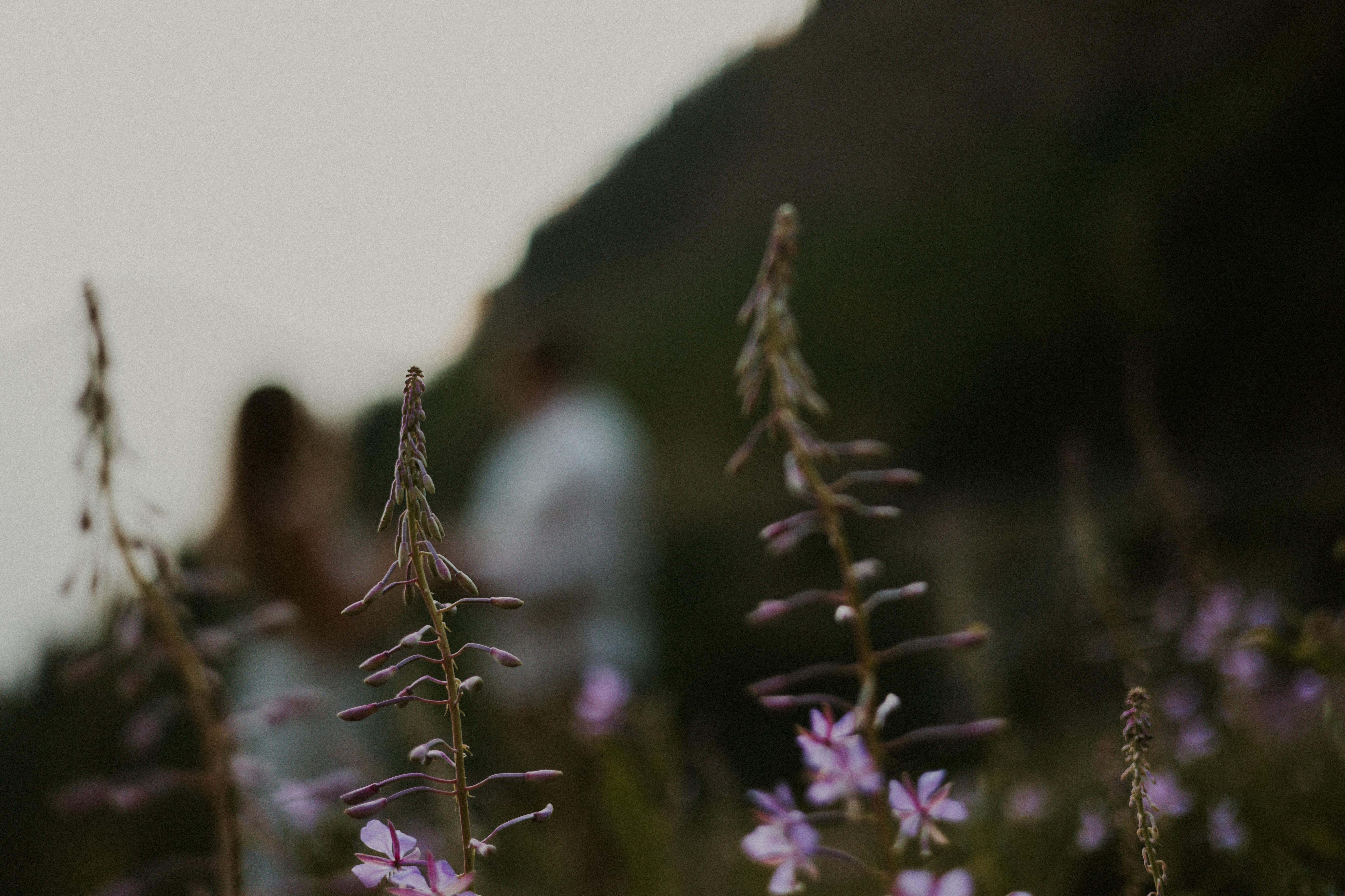The Wedding Website of Nicole Lenia Kiser and Alexander Houlton