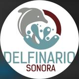 Delfinario Sonora