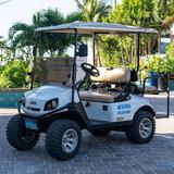 Minty's Golf Cart and Scooter Rental