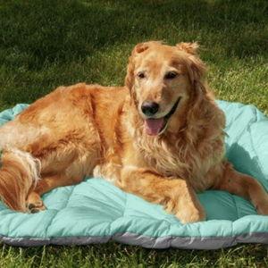 FURHAVEN Trail Pup Packable Stuff Sack Travel Pillow Dog Bed, Aqua & Granite Gray, Small - Chewy.com
