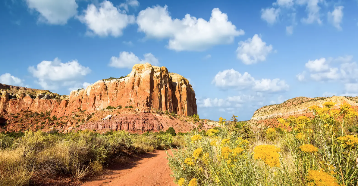 The Wedding Website of Jusemmy Arce and Michael Slinkard