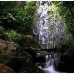Parque Nacional La Tigra