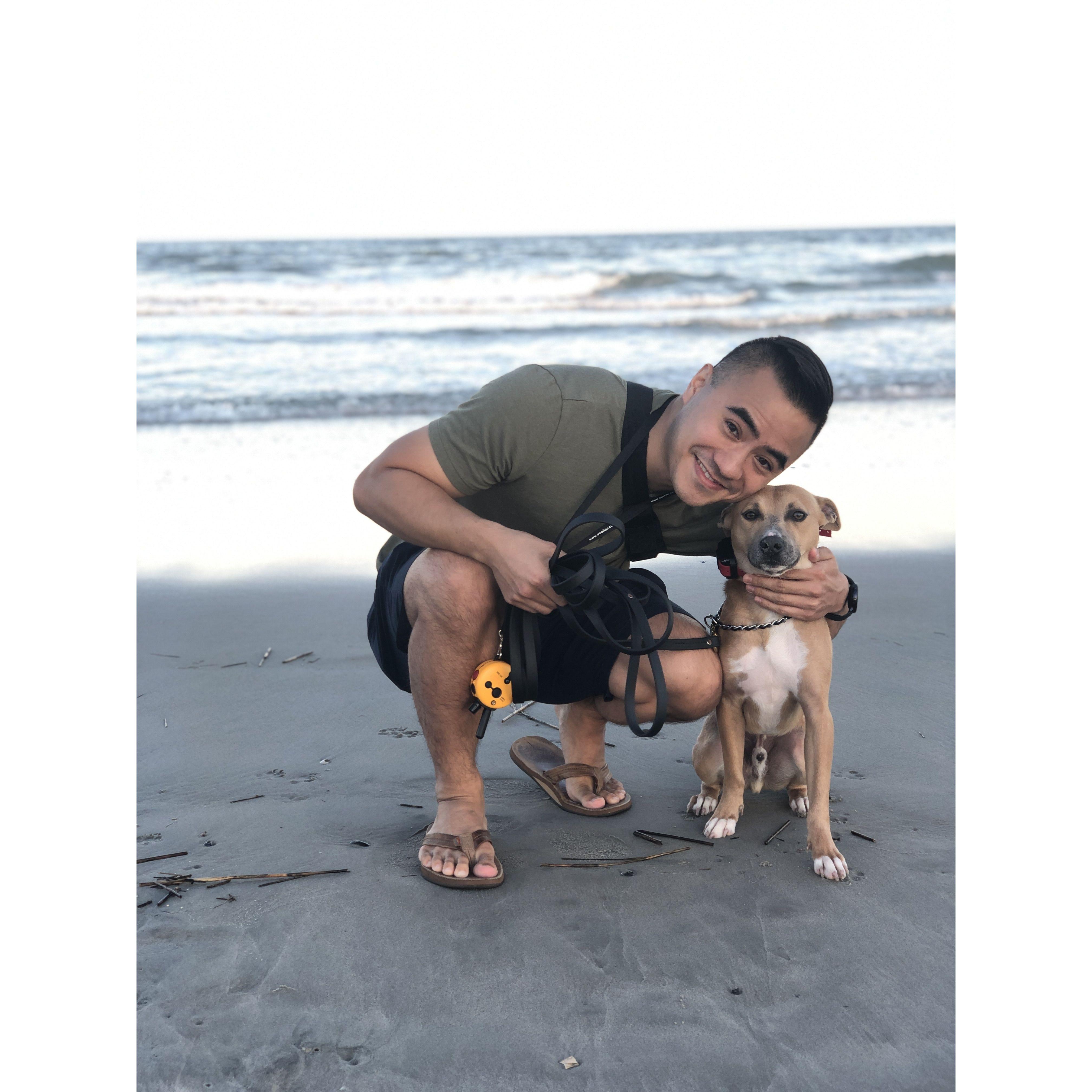 Sammy’s first time at the beach! Avalon, NJ