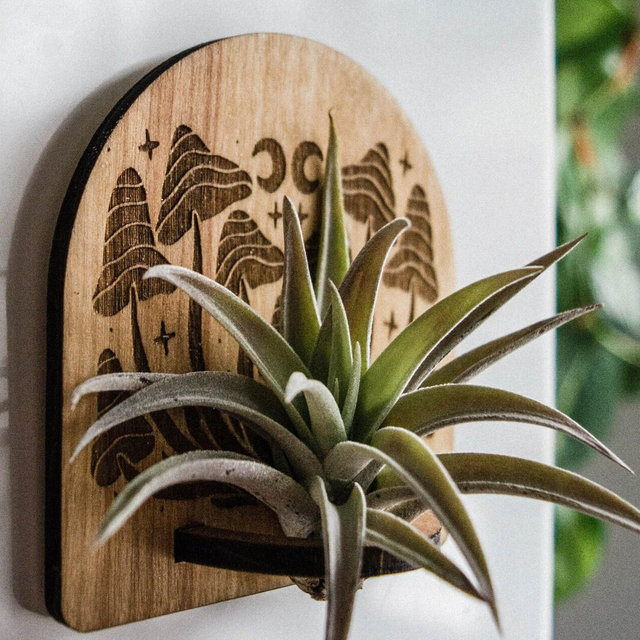 Mushroom Airplant Holder, Wooden Refrigerator Magnet, Tillandsia Holder, Live Airplant, Wooden Magnet, Plant Lover Gift, Home Decor