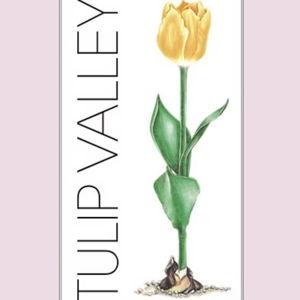 One year of wine from Tulip Valley Winery (Skagit Valley, WA)