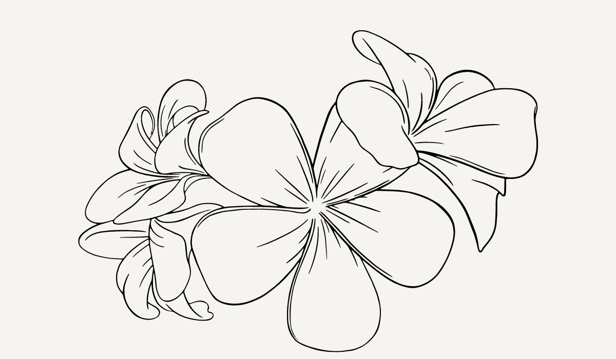 Footer image