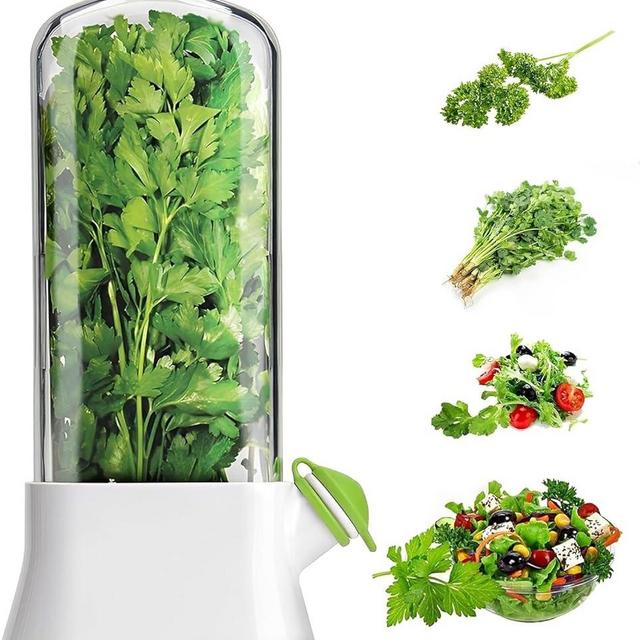 XALVA Fresh Herb Keeper for Refrigerator - Space-Saving Cilantro Container for Fridge - Herb Saver for Cilantro, Mint & Asparagus - Herb Preserver - Clear Herb Savor Bottle - Fresh Herb Storage