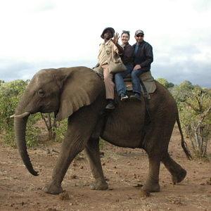 Africa Fund (Credit Card)