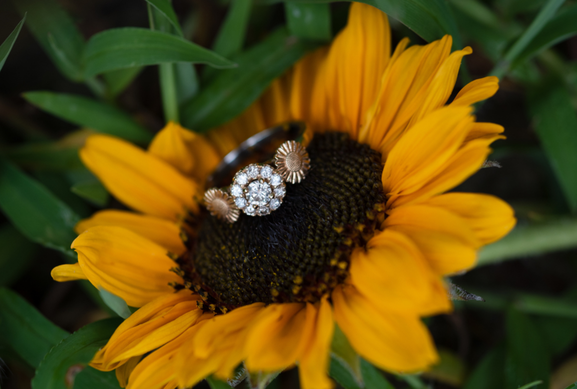 The Wedding Website of Hannah Blische and Stephen Mabe