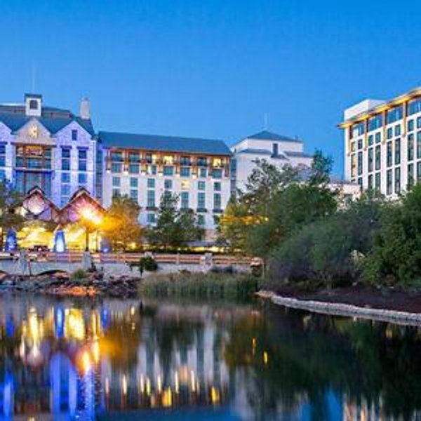 1 Night Stay In Dallas