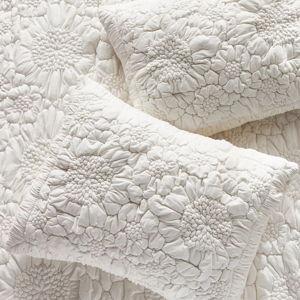 White Dahlia Cotton Jersey Floral Shams, Set of 2