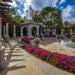 Hollis Garden