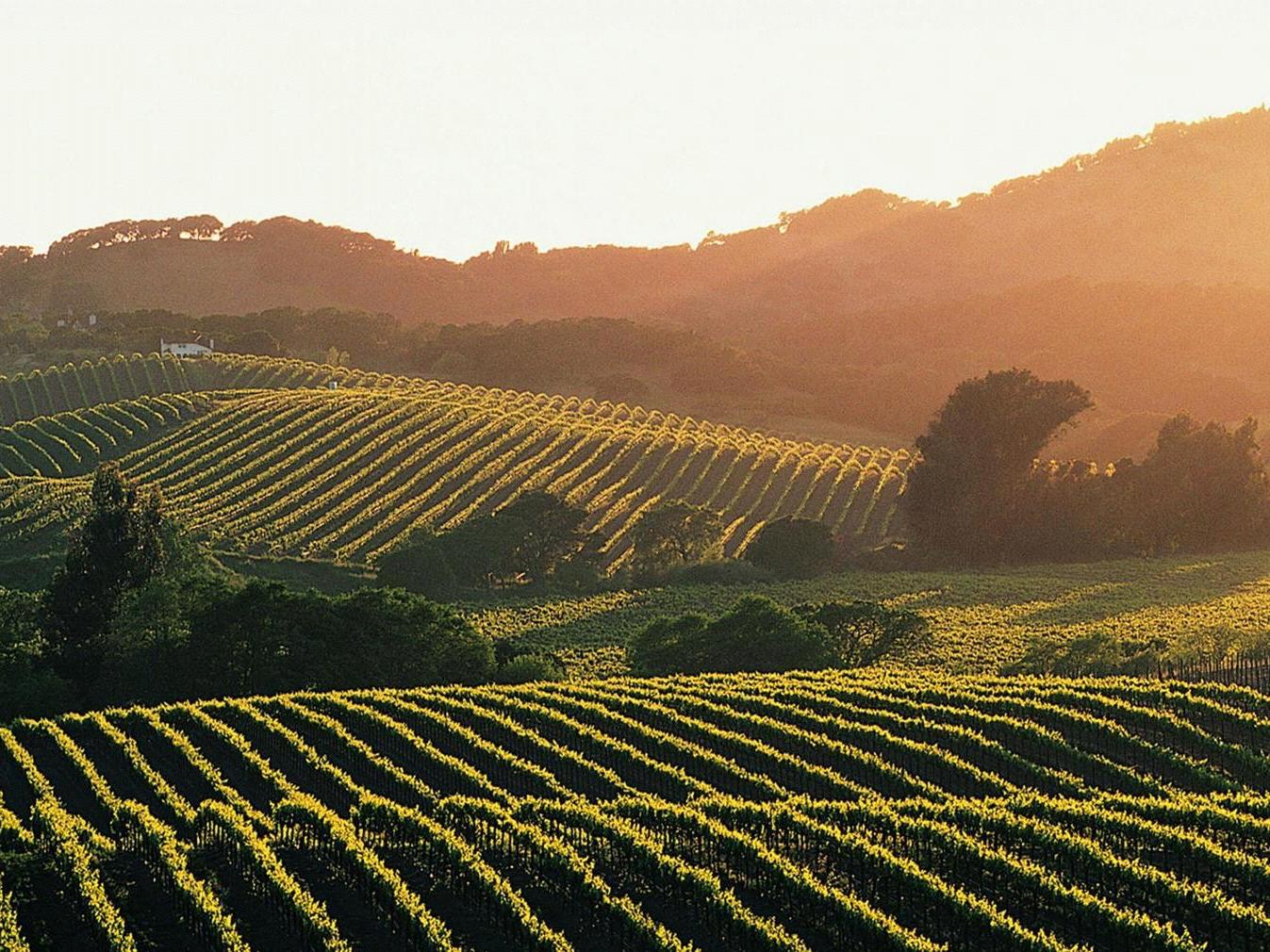 The Wedding Website of Madison Kincaid and Michael McCabe