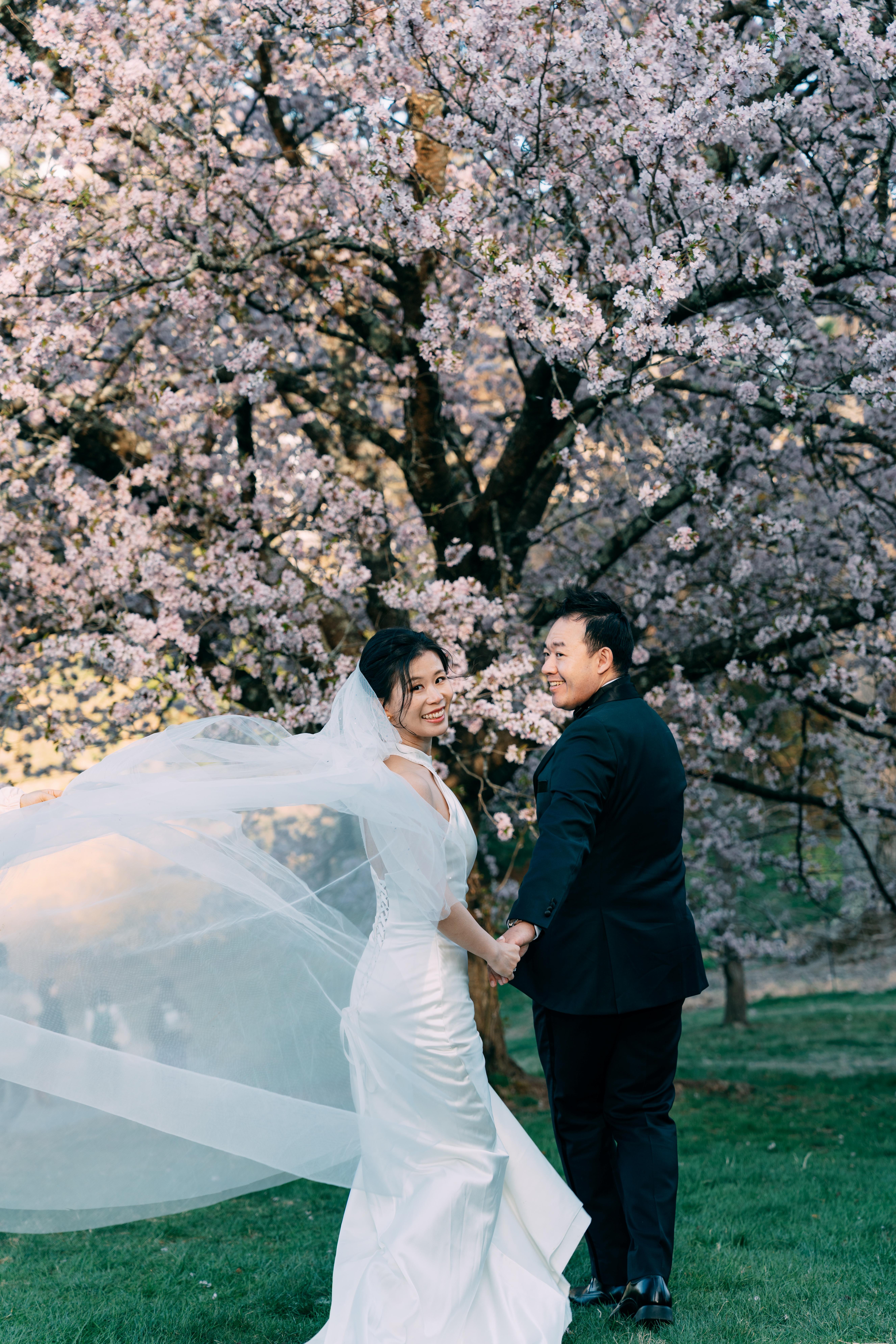 The Wedding Website of Shiqi Gu and Shijun Li