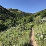 City Creek Loop Trail Head