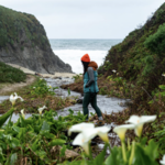 Garrapata Beach: Calla Lily Valley