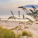 Amelia Island Beach Day!