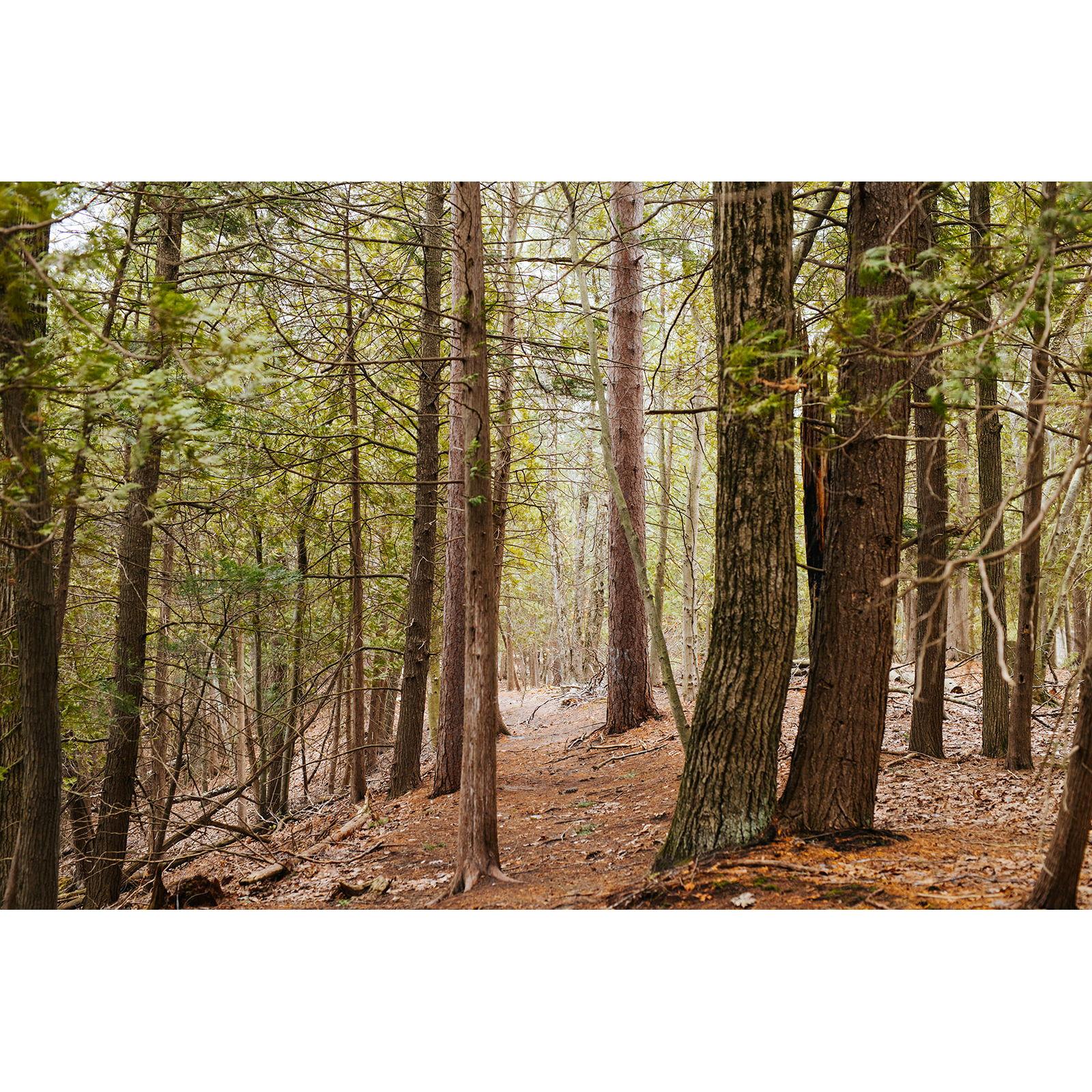 Trails