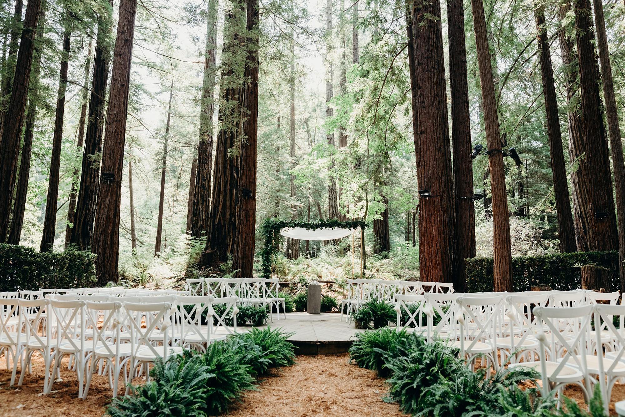 The Wedding Website of Robbie McLeod and Kacie Young
