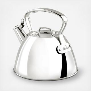 Stainless Steel Tea Kettle