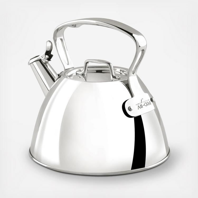 stainless steel teapot with infuser