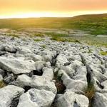 The Burren Park