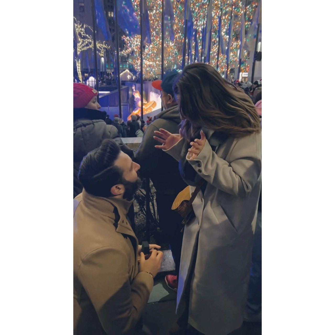 "Will you be my llama forever?"