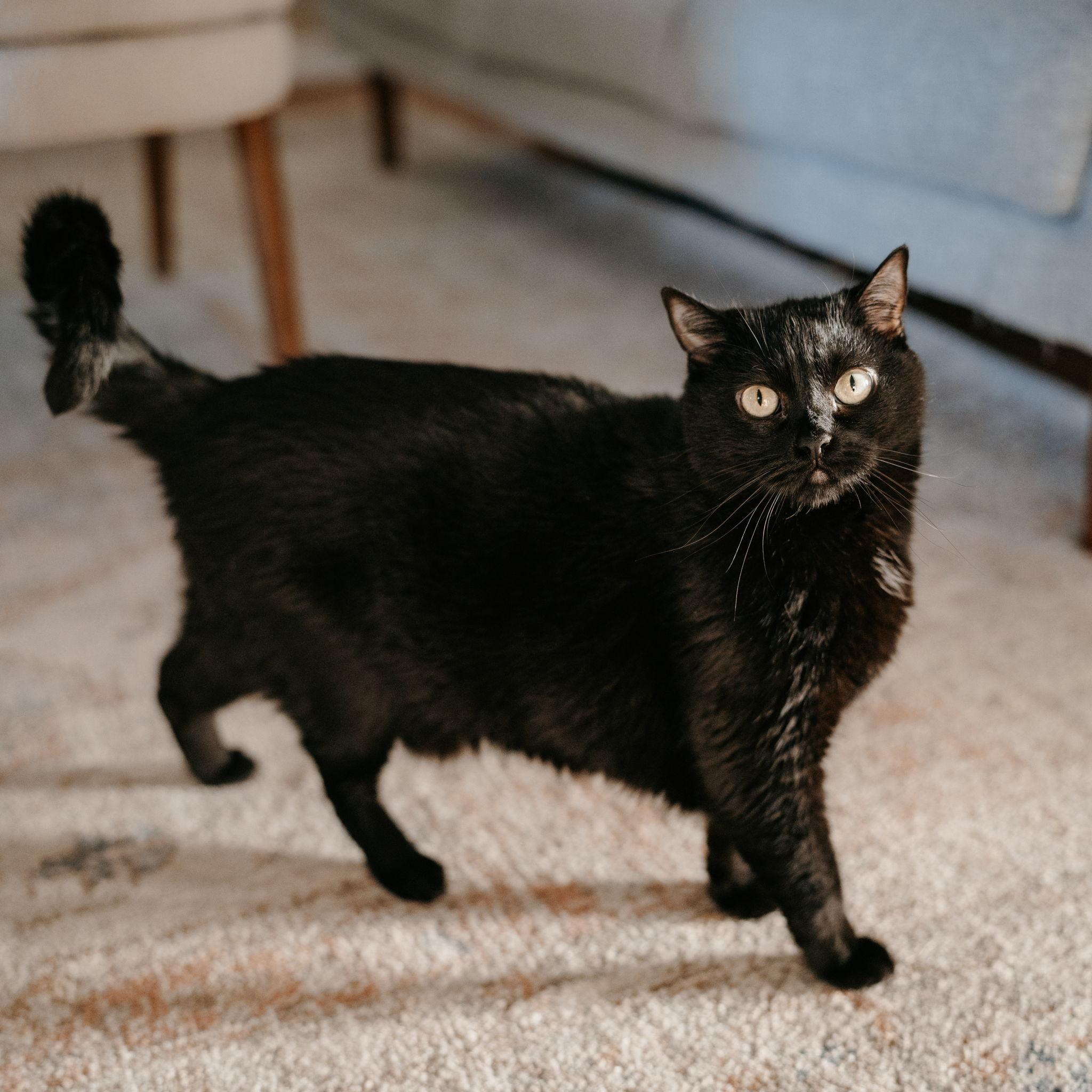 The love of our lives, Gigi :)