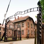 Auschwitz-Birkenau Nazi Concentration Camp and Museum