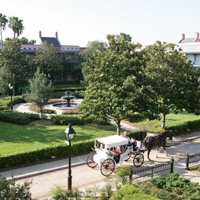 Carriage Ride