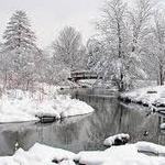 Toledo Botanical Garden