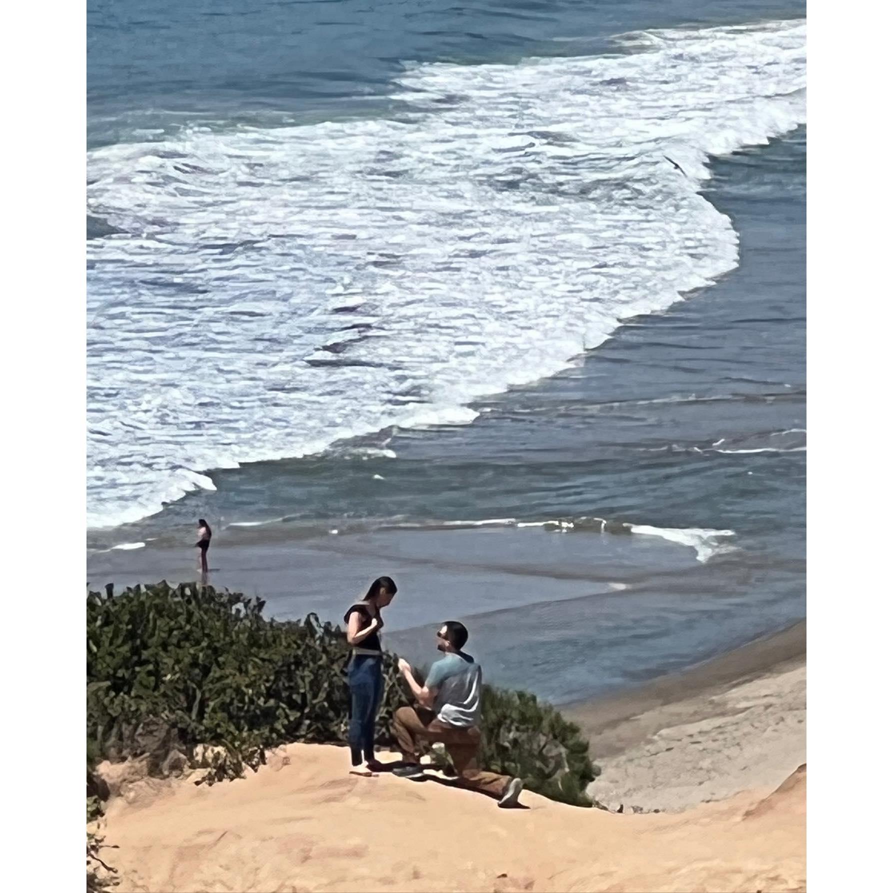 The PROPOSAL!
