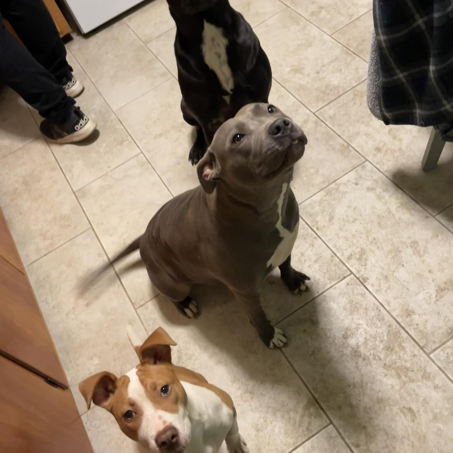Our babies