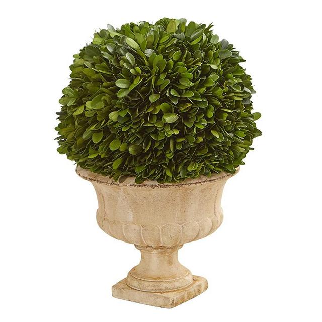 12in. Boxwood Topiary Ball Preserved Plant in Decorative Urn (4372)