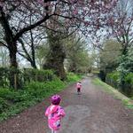 Dalston Village Loop