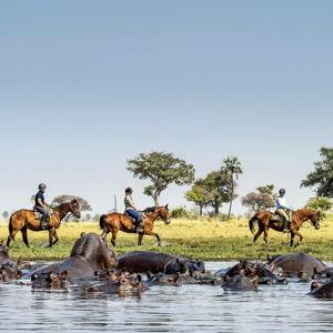 Horseback Riding