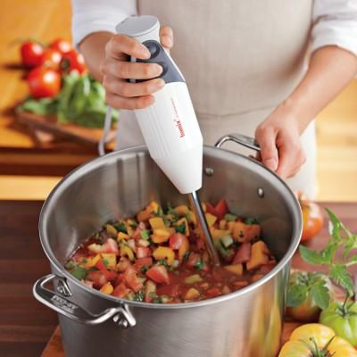 Bamix Professional Immersion Blender