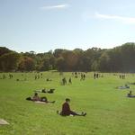 Prospect Park