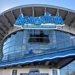 Downtown Aquarium