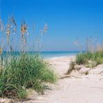 Honeymoon Island State Park