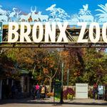 Bronx Zoo